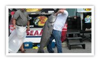 Catfish fishing in Western Kentucky