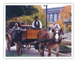 Horse and Carrage in Paducah